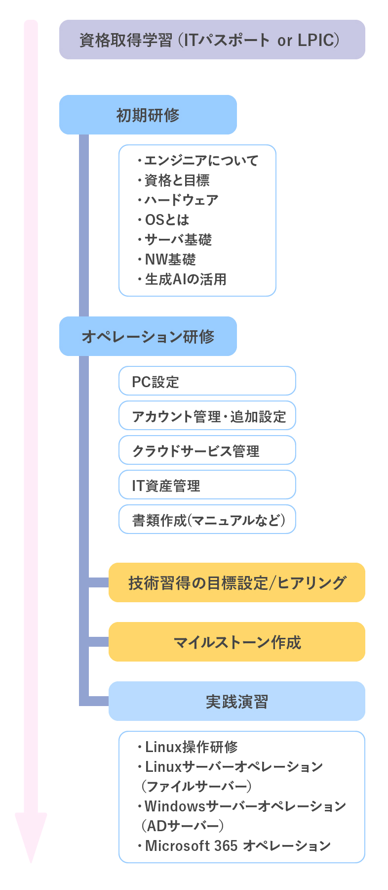 情報システム管理者の教育フロー